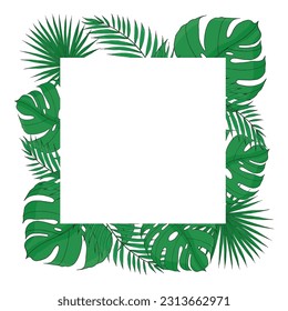 Hojas tropicales marco blanco cuadrado de verano con mostera, hoja de palma. Plantilla de vector dibujada a mano para diseño, tarjeta, invitación, afiche