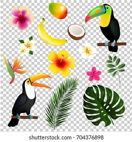 Tropical Leaves Toucan And Fruit, Vector Illustration, With Gradient Mesh