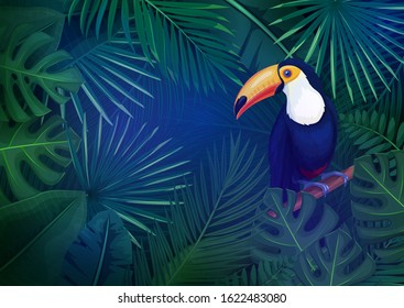 Tropical leaves and toucan layout. Concept with jungle banana leaf, exotic bird and areca palm for summer advertising vacation. Vector illustration.