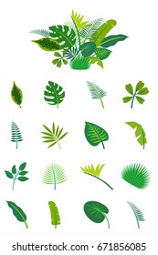 Tropical leaves trendy set. Exotic botanical collection. Palm and other plants.  Isolated. Vector.