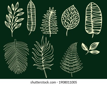Tropical leaves of various shapes. Pointed Leaves Isolated Background Drawing Linear Only Outline Vector graphics