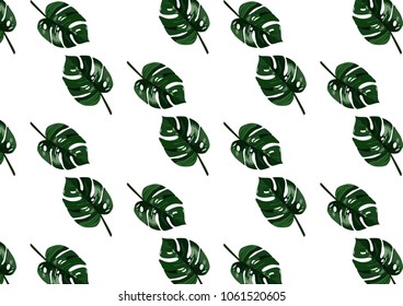 Tropical leaves vector