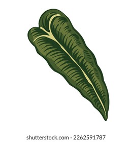 Tropical Leaves Vector Art Drawing