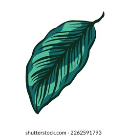 Tropical Leaves Vector Art Drawing