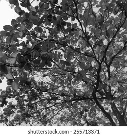 Tropical leaves vector background