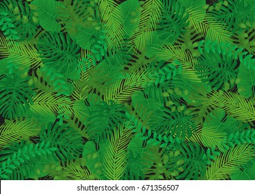 Tropical Leaves Vector Background - Black