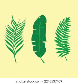 Tropical leaves Vector Background Design