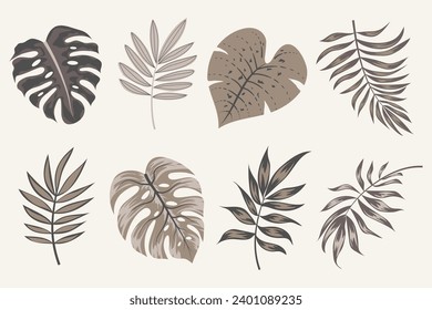 Tropical leaves vector clipart. Exotic leaves, monstera and plants on a light background. Abstract tropical design, isolated elements. Vector illustrations. 