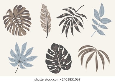 Tropical leaves vector clipart. Exotic leaves, monstera and plants on a light background. Abstract tropical design, isolated elements. Vector illustrations. 