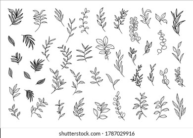 Tropical leaves vector collection. Set of silhouettes monochrome jungle exotic leaf, Philodendron, Palm leaves, Areca palm, Royal fern, Banana leaf isolated on white background. Vecor illustration