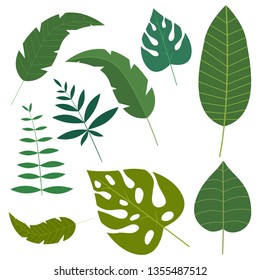 Tropical leaves vector design illustration isolated on white background