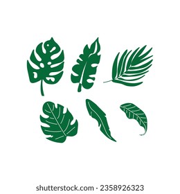 tropical leaves vector design for multiple use 