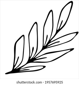 tropical leaves, vector doodle element, coloring, black and white