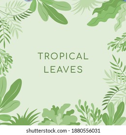 Tropical leaves vector flat banner template with text space. Green leaves of tropical or home plants border on green background. Nature leaves, tropical background template. - Shutterstock ID 1880556031