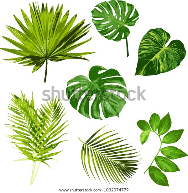 Tropical Leaves Vector Herbal Clipart Digital Stock Vector (Royalty ...