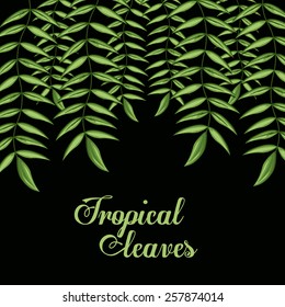 Tropical leaves, vector illustration