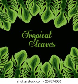 Tropical leaves, vector illustration