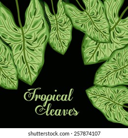 Tropical leaves, vector illustration