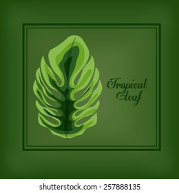 Tropical leaves, vector illustration