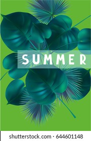 Tropical leaves. Vector illustration