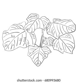 Tropical leaves. Vector illustration