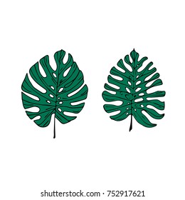 Tropical leaves vector illustration. Doodle style. Design, print, logo, decor, textile, paper.