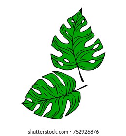 Tropical leaves vector illustration. Doodle style. Design, print, logo, decor, textile, paper.