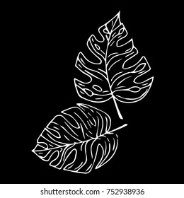 Tropical leaves vector illustration. Doodle style. Design, print, logo, decor, textile, paper.