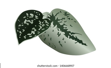 Tropical leaves vector illustration with gradient elements on white background. Gradient illustration for any purposes