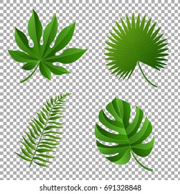 Tropical Leaves, Vector Illustration, With Gradient Mesh