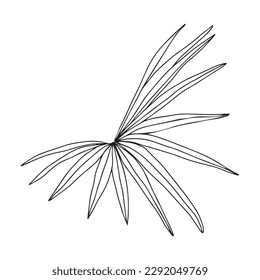 Ilustración vectorial de hojas tropicales, hoja de plantas y palmeras, elementos exóticos del paraíso tropical