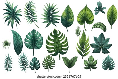  tropical leaves vector image  Set Mons tera and palm jungle leaves, green exotic foliage, nature botanical decorative collection.