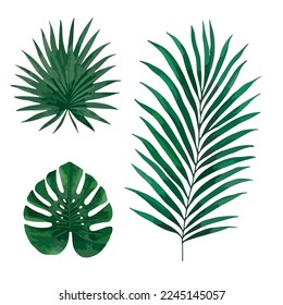 Tropical leaves vector isolated on white background. Hand drawn leaves illustration in watercolor vector set