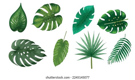 Tropical leaves vector isolated on white background. Hand drawn leaves illustration in watercolor vector set