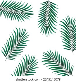 Vector de hojas tropicales aislado sobre fondo blanco. Ilustración de hojas dibujadas a mano en conjunto vector de acuarela