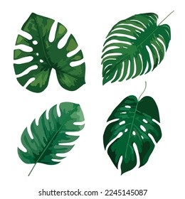 Tropical leaves vector isolated on white background. Hand drawn leaves illustration in watercolor vector set