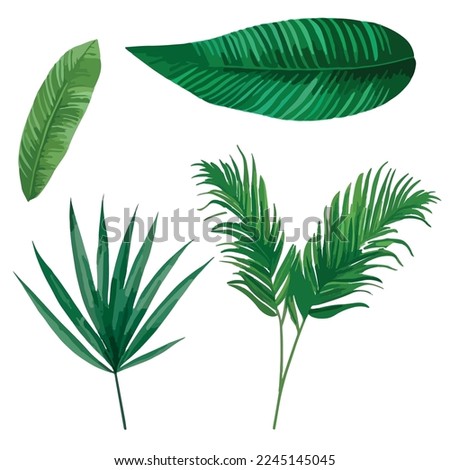 Tropical leaves vector isolated on white background. Hand drawn leaves illustration in watercolor vector set