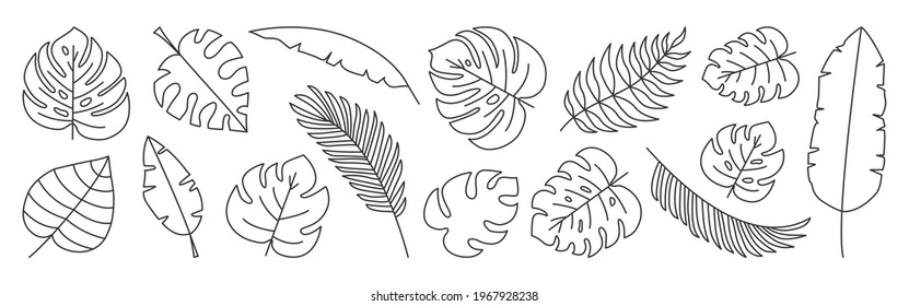 Tropical Leaves Vector Line Set, Black Palm Leaf Outline Doodle Design Isolated On White Background. Editable Stroke. Nature Exotic Illustration