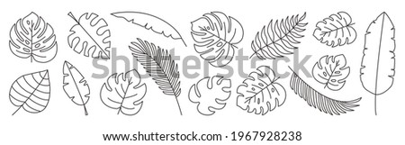 Tropical leaves vector line set, black palm leaf outline doodle design isolated on white background. Editable stroke. Nature exotic illustration