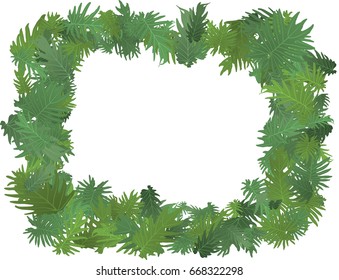 Tropical leaves vector rectangular frame for text on white background. Jungle green leaf floral pattern. Botanical tropic forest or garden elements illustration.