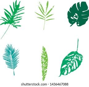 
Tropical leaves. Vector leaves. Set.