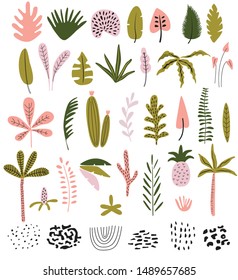 Tropical leaves in vector set.