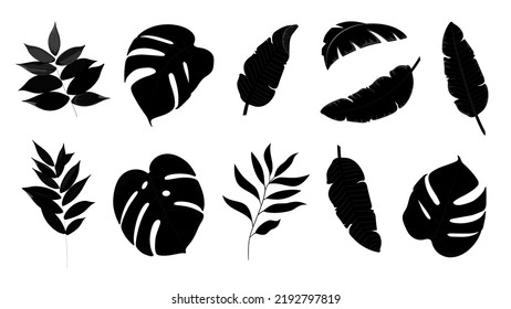 Tropical leaves vector set. Black leaves silhouettes collection. Palm and banana leaves EPS10