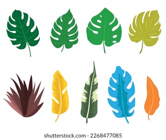 Tropical leaves vector set. Botanical exotic colorful jungle foliage, palm leaves