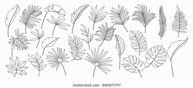 Tropical leaves vector. Set of palm leaves silhouettes isolated on white background. Vector EPS10
