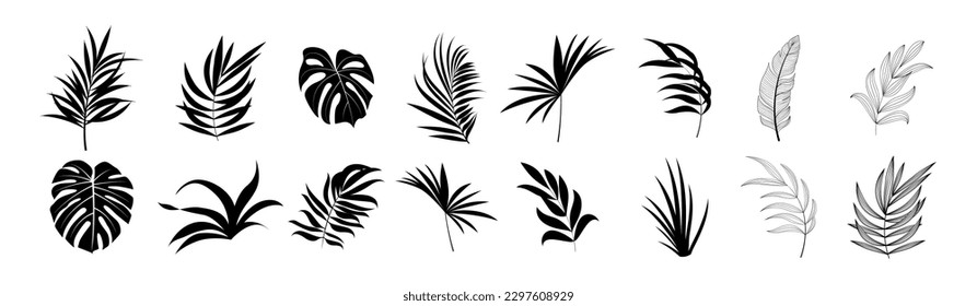 Tropical leaves vector. Set of palm leaves silhouettes isolated on white background. Vector illustration.
