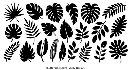 Tropical leaves vector. Set of palm leaves silhouettes isolated on white background. Vector EPS10, Icon set of various tropical leaves in a modern design style suitable for creative projects and visua