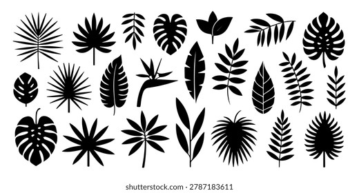 Tropical leaves vector. Set of palm leaves silhouettes isolated on white background. Vector EPS10, Icon set of various tropical leaves in a modern design style suitable for creative projects and visua