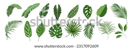 Image, Stock Photo Green fern background Fern