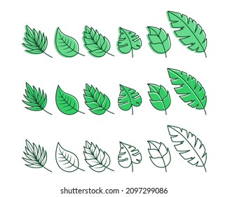 Tropical leaves vector various types